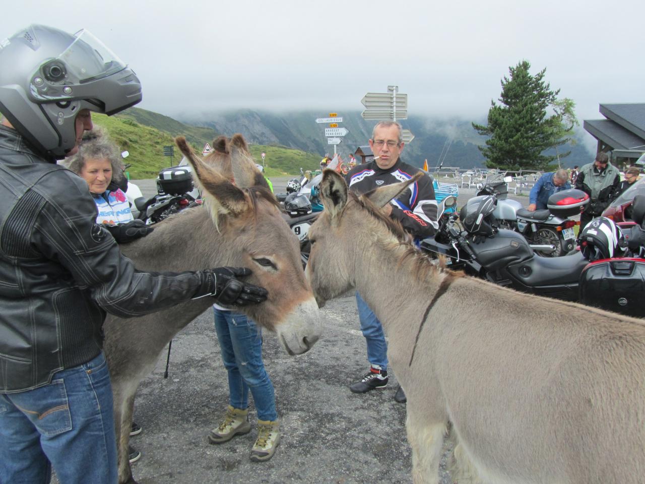 2016-07-24 AUBISQUE (10)