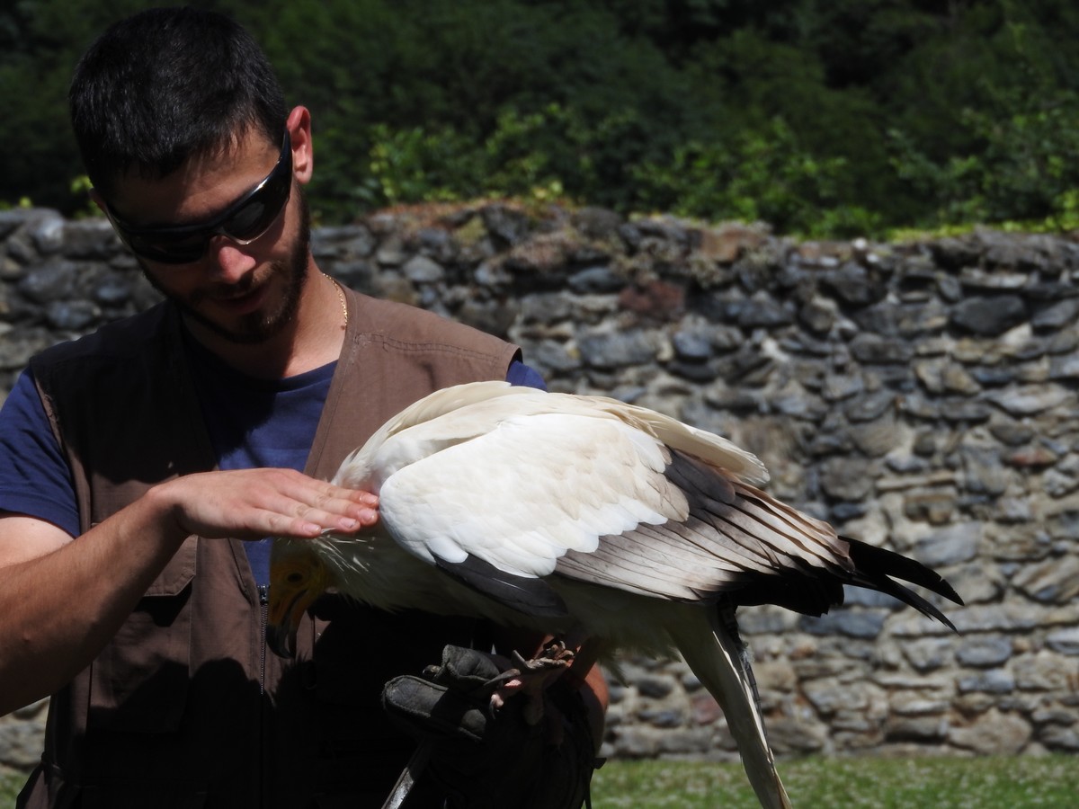 Donjons Des Aigles 06/2019