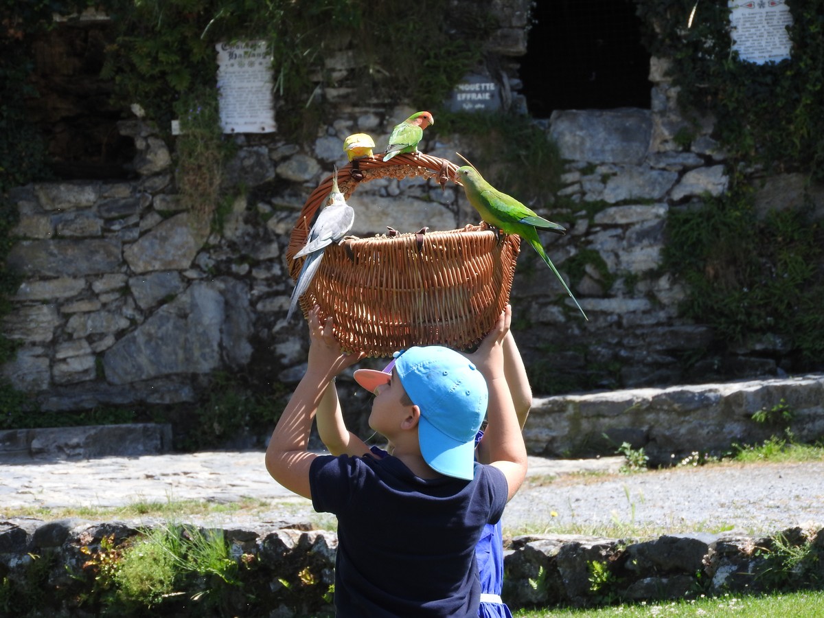 Donjons Des Aigles 06/2019