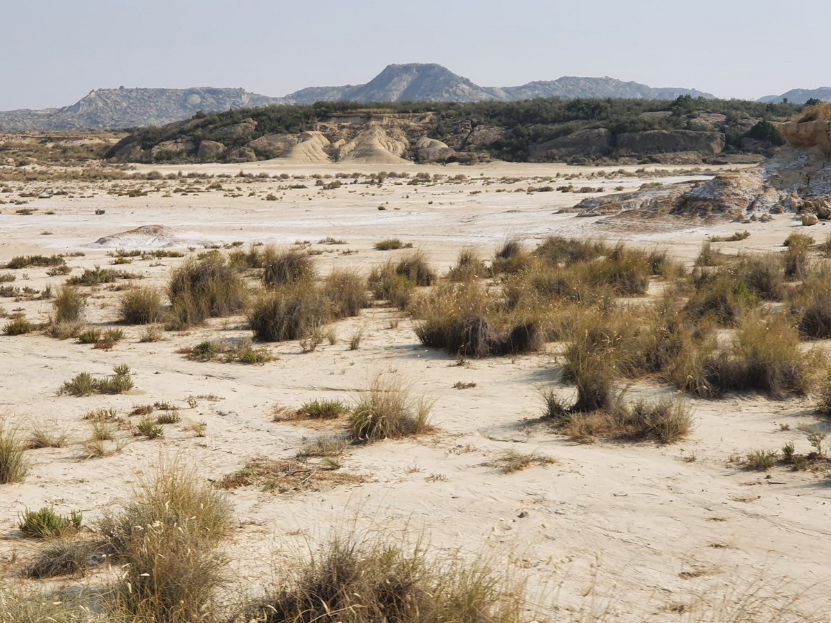 LES BARDENAS - HORS CLUB