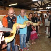 MCTB La Ferme Aux Reptiles 05.2022