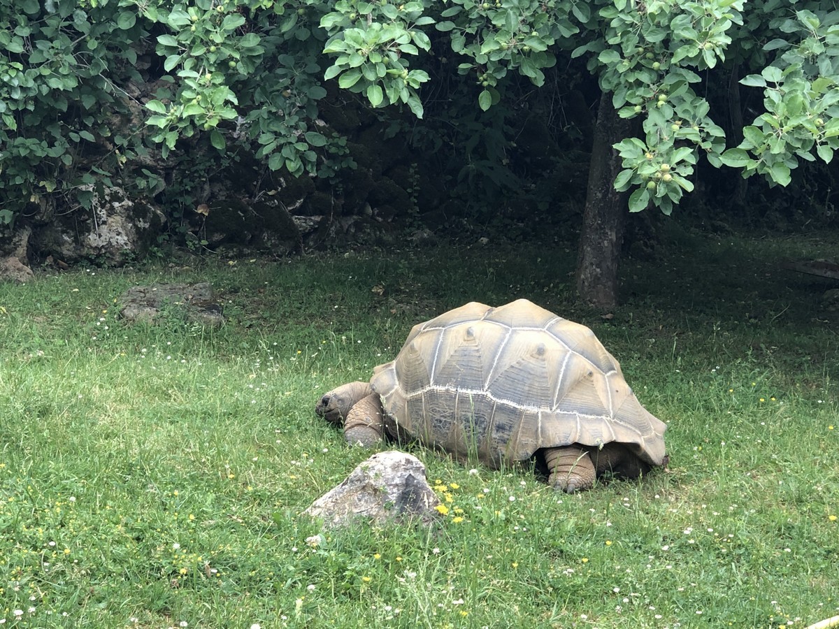 MCTB La Ferme Aux Reptiles 05.2022