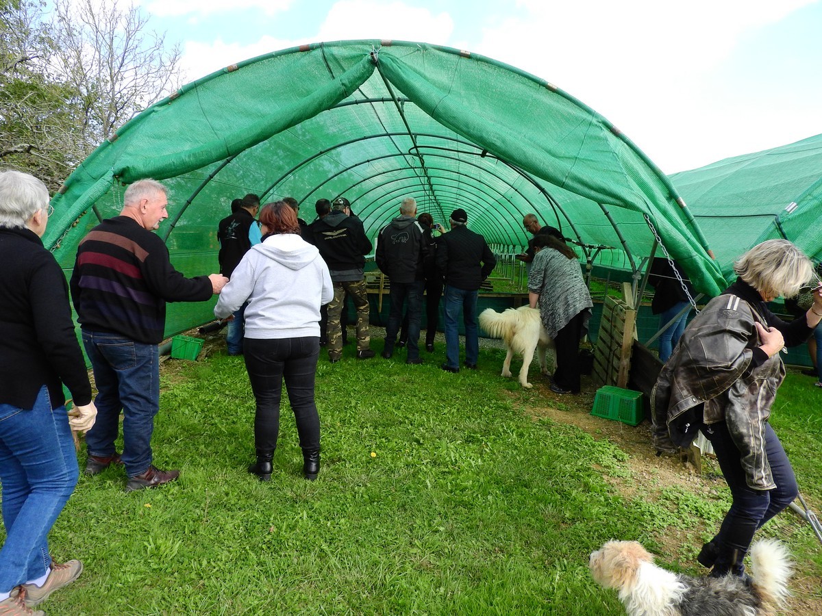 La Ferme Aux Escargots 10.21