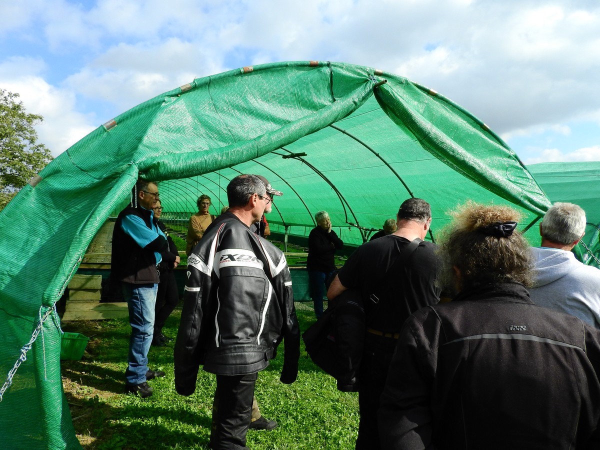 La Ferme Aux Escargots 10.21