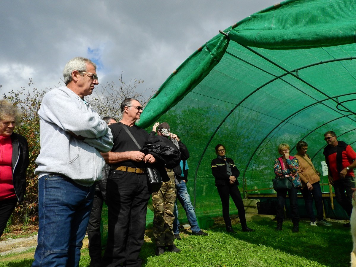 La Ferme Aux Escargots 10.21